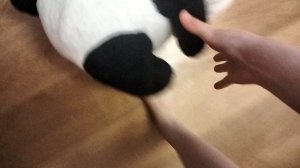 вечер с реборном