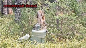 Обзор пневматического пистолета Beretta 92m