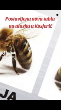 ПЧЕЛЕ У ОДБРАНИ СРБИЈЕ ОД БЛОКАДЕРА - ЖИВЕЛЕ ПЧЕЛЕ, ЖИВЕЛА СРБИЈА!.mp4