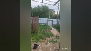 1000196069.mp4
