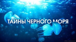 ТАЙНЫ ЧЕРНОГО МОРЯ