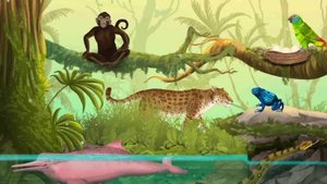 Изучаем животных. Дельфин, обезьянка и лягушка. Интересное обучение. Видео для детей.