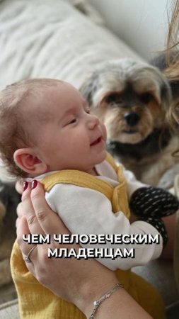 😳 Кошки запоминают слова быстрее, чем младенцы