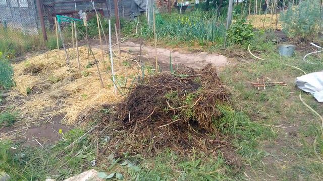 Растительные остатки, трава, ботва, органика, улучшают плодородие почвы.