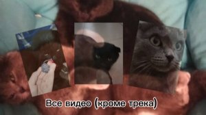 Все видео (кроме трека) с канала:"Тимошка и Шушик"!!! С самого начала до самого конца!
