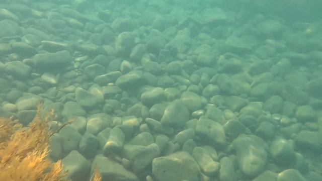 11.06Купаемся и в путь на Алтай. Анапа.