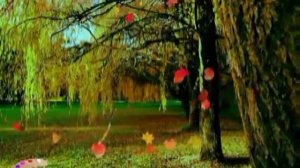 Вальс жёлтых листьев (Музыка Тимура Максимова)