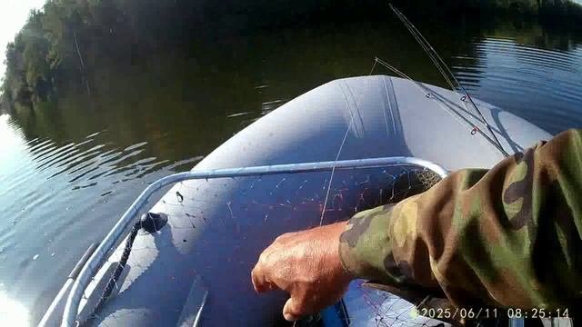 2025-06-11 Дикая щука