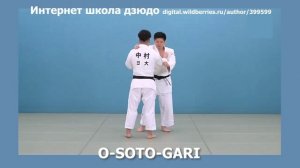 Интернет школа дзюдо. O-SOTO-GARI2