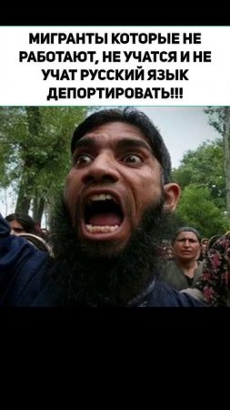 МИГРАНТЫ КОТОРЫЕ НЕ РАБОТАЮТ, НЕ УЧАТСЯ И НЕ УЧАТ РУССКИЙ ЯЗЫК ДЕПОРТИРОВАТЬ!!!