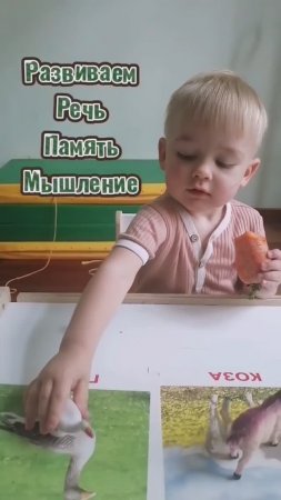 Игра на развитие мышления, памяти и речи