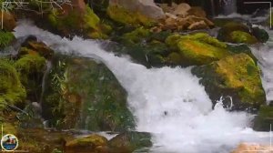 1000010432.mp4