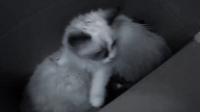 すべてがうまくいくでしょう。