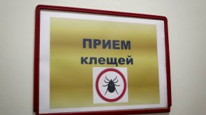 КРАСНОЯРЕЦ ЗАРАЗИЛСЯ ЭРЛИХИОЗОМ ПОСЛЕ УКУСА КЛЕЩА