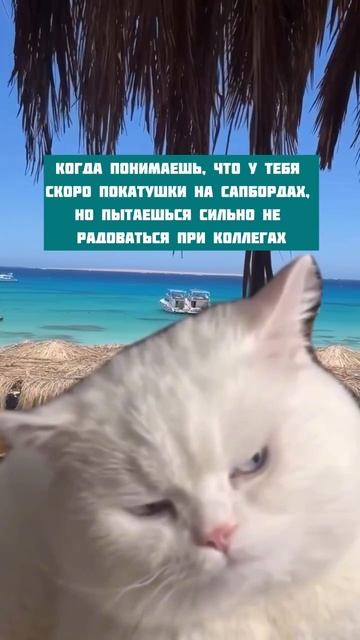 Знакомая ситуация?