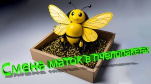Смена маток в пчелопакетах: секреты профессора Кашковского