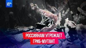Гриб-мутант в Ленинградской области держит в заложниках жильцов целого дома