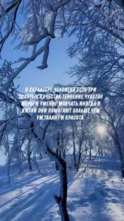 #869 Цитата дня. Мотивация.