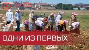 Дагестан одним из первых в стране приступил к уборочной кампании