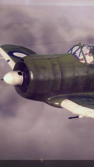 Boomerang. "Самый опасный враг в Warplanes" :)