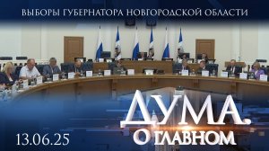 Выборы губернатора Новгородской области. Дума. О главном
