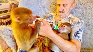 Люся-Мама, я не буду ОТБИРАТЬ КАШУ, я просто поддержу бутылочку для Степы и Тоси