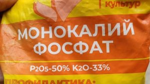 Подкормка голубики в августе, залог следующего урожая