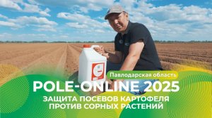 Защита картофеля от сорных растений в Павлодарской области | Pole-Online 2025 #картофель #гербициды