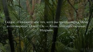 Сура 34, Саба С ПЕРЕВОДОМ