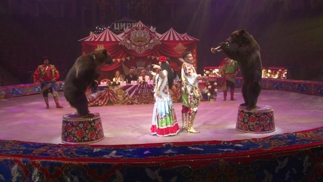 В саратовском цирке стартует шоу Гии Эрадзе «5 континентов» смотреть онлайн