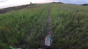 дарекс мото 300. Карьер