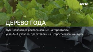 ДЕРЕВО ГОДА