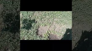 Обзор фермерских дел