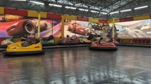 🌲 Лесная Магия + Экзотика: Путешествие для Души ✈️ | Птицы, Пейзажи, Египет, Таиланд