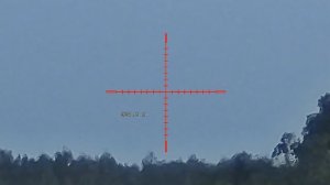 NV076-940-25 Taipan 3.mp4