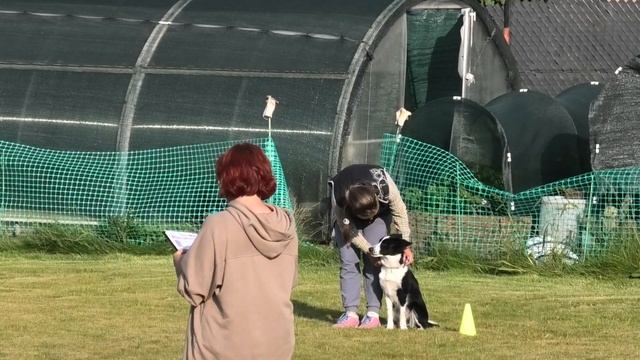 Дарья Лукина и Ingardia Shadow BH 57 баллов смотреть онлайн