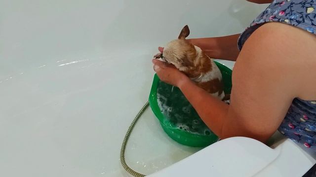 11.06.2025г.2 Часть/// ОБЕД/// НАКУПАЛА НЕЗИКА🐕 ОБЫЧНАЯ ЖИЗНЬ В СЕЛЕ🏡