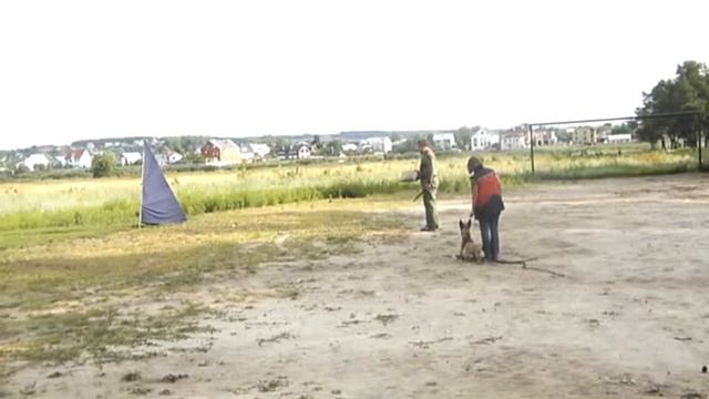 Защита, Динамика из Команды Азарт (1 год) смотреть онлайн