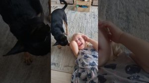 Собачья любовь или собака и ребёнок 🐶❤️👼 #собакаиребенок #любовьсобаки #русскийтой #toyterrier