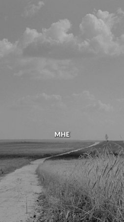 Никто не остался из них, в живых…