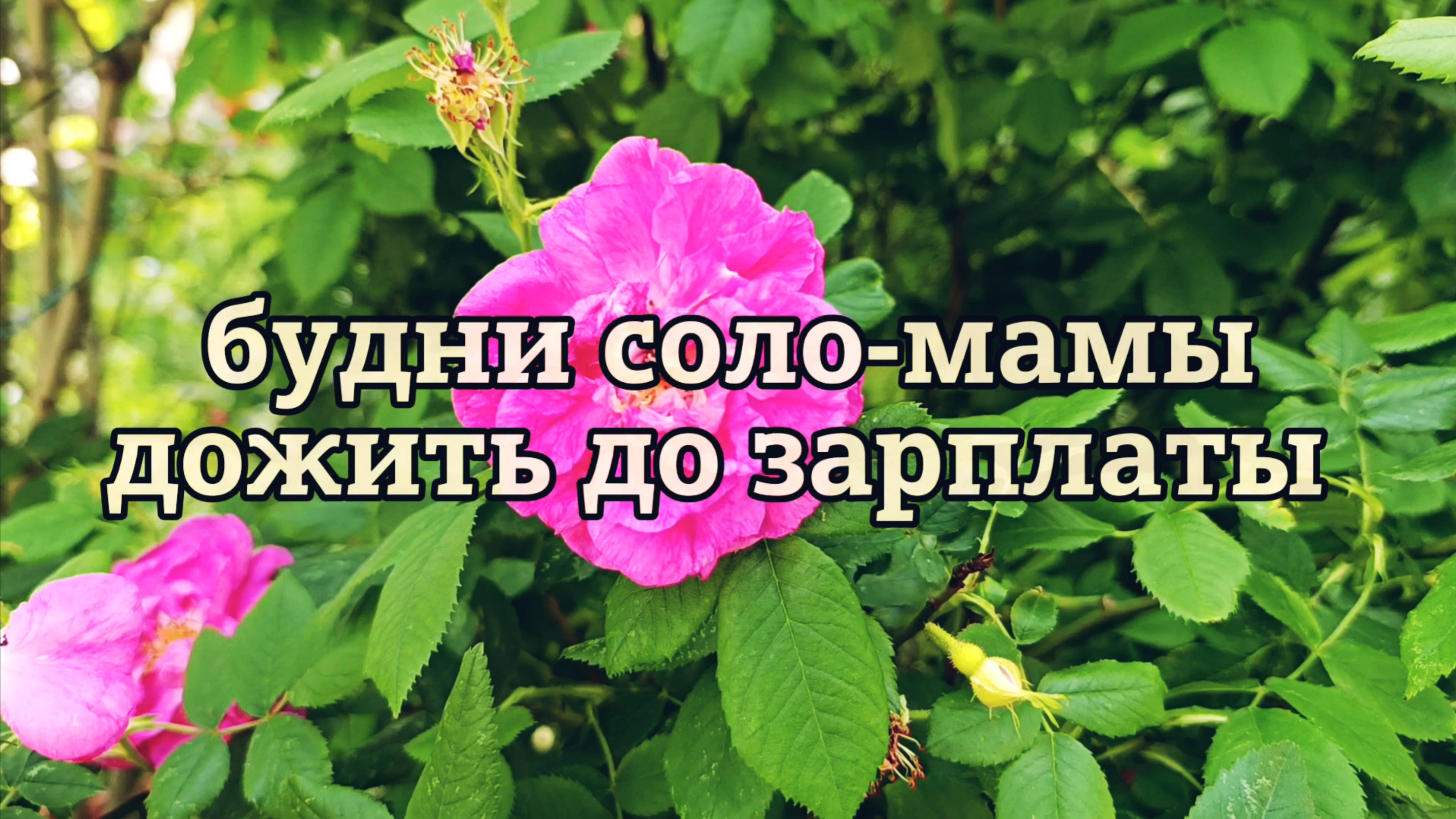 ОДНА С ДВУМЯ ДЕТЬМИ
КАК ДОЖИТЬ ДО ЗАРПЛАТЫ