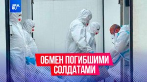 Россия передала Украине 1212 тел солдат, получив в ответ лишь 27