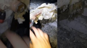 Замена кранов на отопление в многоквартирном доме.