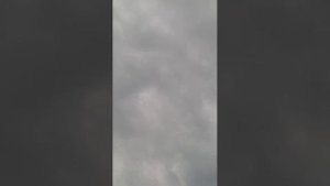 Голуби Андрея Юринова