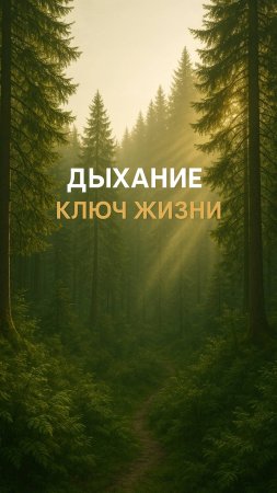 Дыхание - ключи жизни