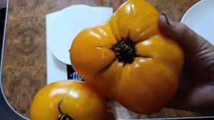 Томат Гигант лимонный