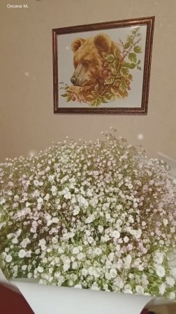 Букет гипсофил