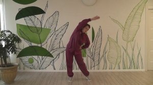 Комплекс цигун для сосудов.