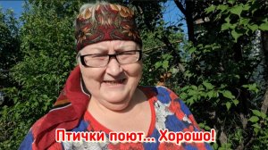 На даче выросли мутанты. Последняя подкормка чеснока. Ужин.