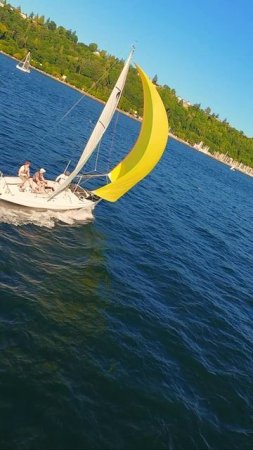 ⛵ Регата в Сиэтле — жёлтый парус врывается вперёд!